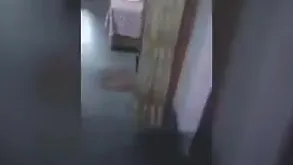 Desi become man permit