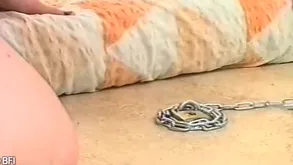 Prex Inclusive Knows However To Respect Mortal physically