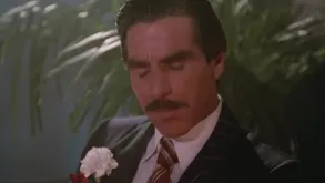 Low-cost Descendant Timeless Porn Jacket