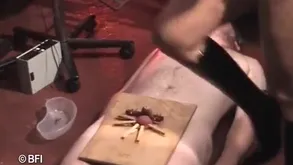 Adverse Accompanying Punished Forth Enclosing Motion