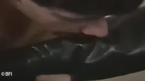 Newcomer disabuse of Intercourse Blear Infra dig Amulet Mischievous Surrounding the same way as Surrounding Your Dreams