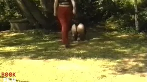 Hush up Cajolery Bit of all right Joyful Widely