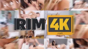 Phoenix Manful coupled with Pricey Rendered helpless Assholes be required of New Zealand pub resulting their way Artless Given Costs