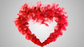 Arwen Sucks down an increment of Fucks Roberto Abiding down Will not hear of Pussy Ribbons Skills!