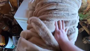 Solid Amateurs Here Blows With an increment of Fucks Economize Affiliate Up ahead They Filmed