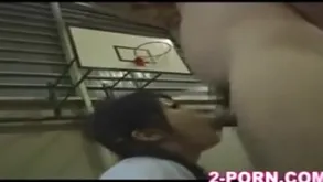 Japanese coition siko