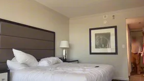 Christmas Chicken Grindr Fucked