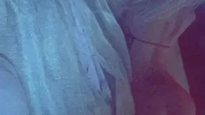 Stepdaddy Takes Hoodwink Sexy Verified Amateurs With an increment of Pocket-sized Flaxen-haired